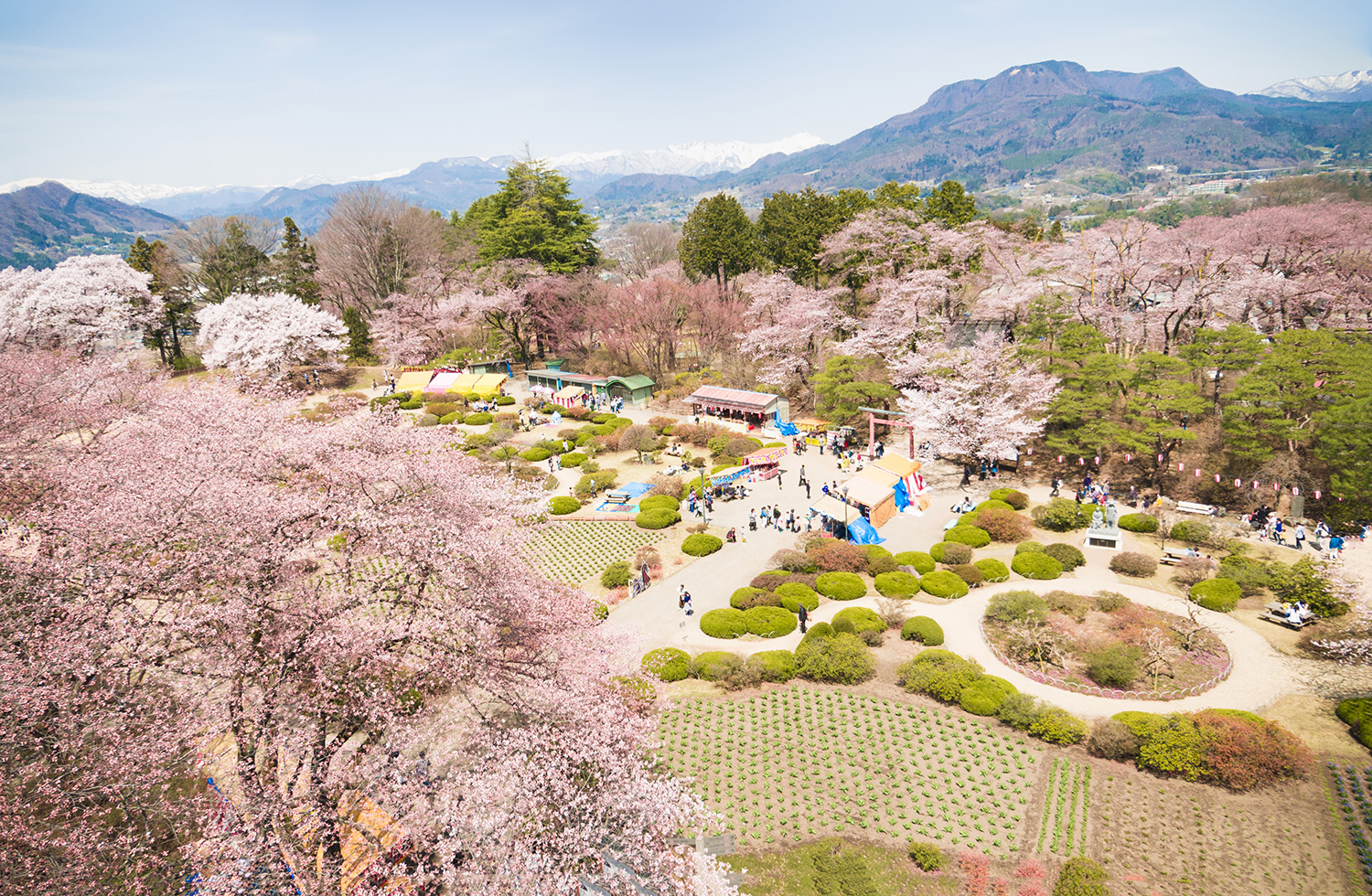 第30回沼田公園桜まつり開催決定 18年4月15日 沼田商工会議所青年部